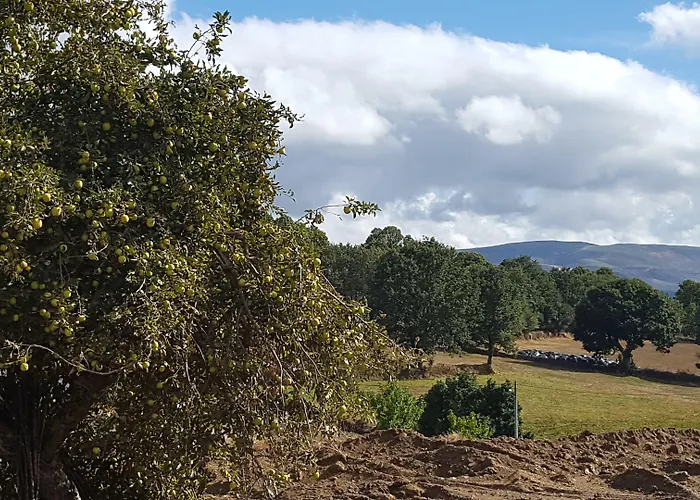 O Trancallo מלון Viana do Bolo